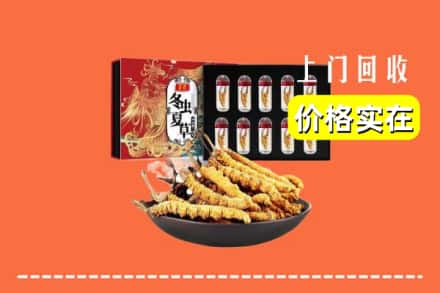 岳阳县回收冬虫夏草